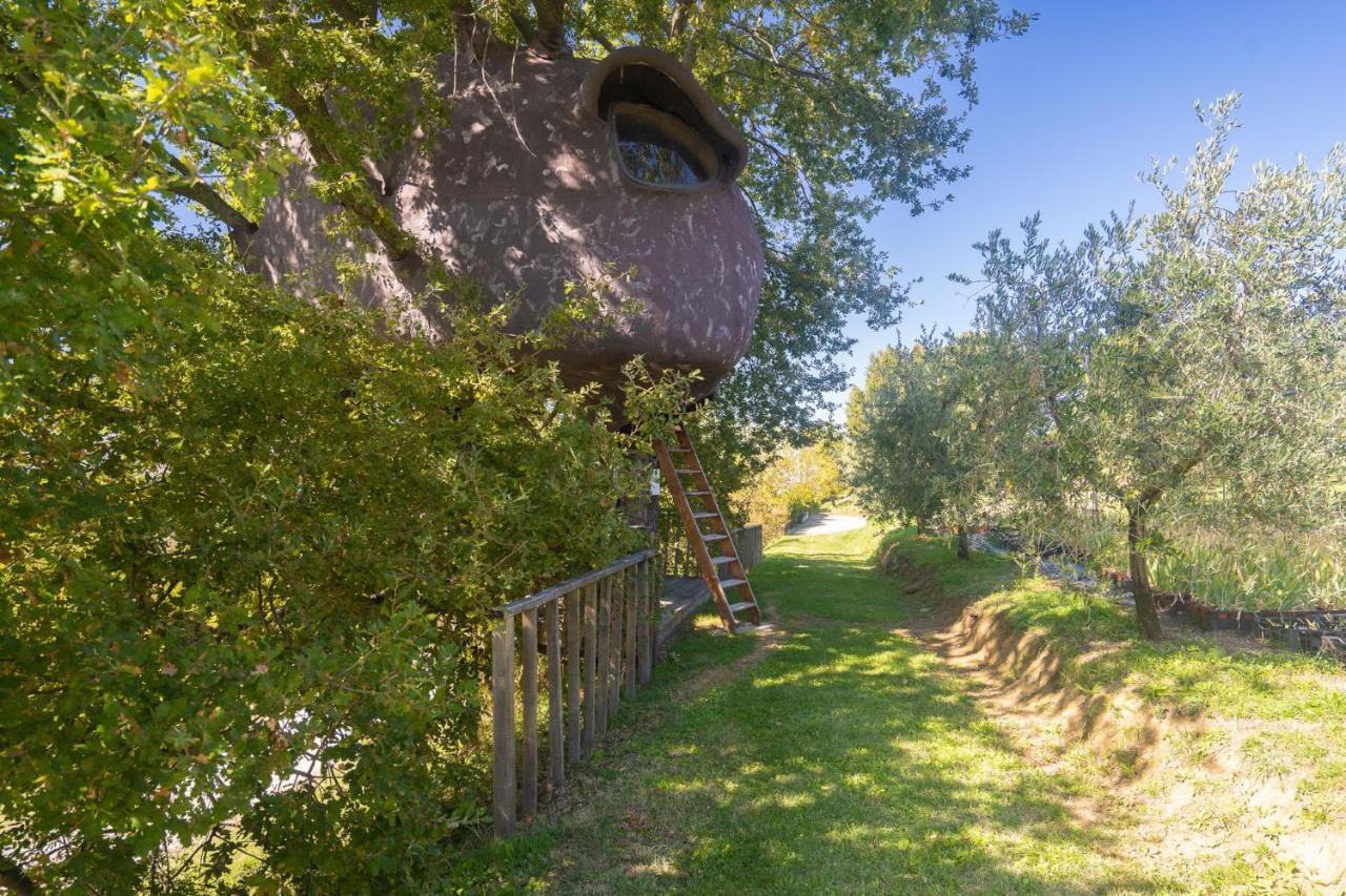 Odina Agriturismo Loro Ciuffenna Kültér fotó