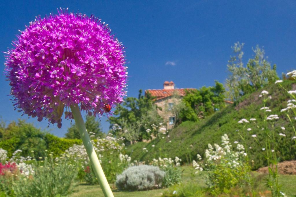 Odina Agriturismo Loro Ciuffenna Kültér fotó