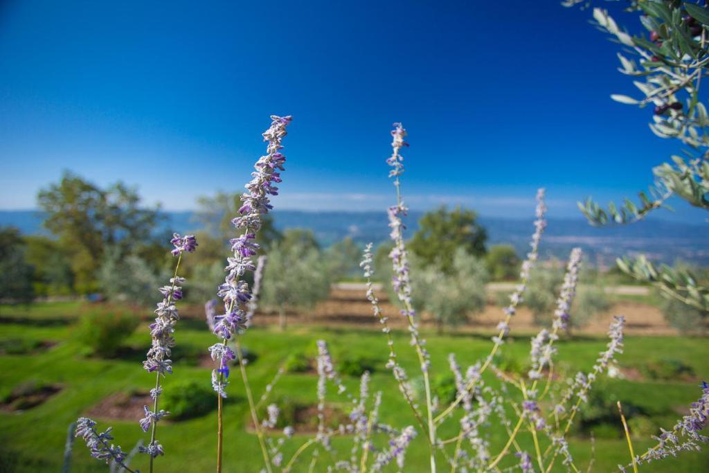 Odina Agriturismo Loro Ciuffenna Kültér fotó